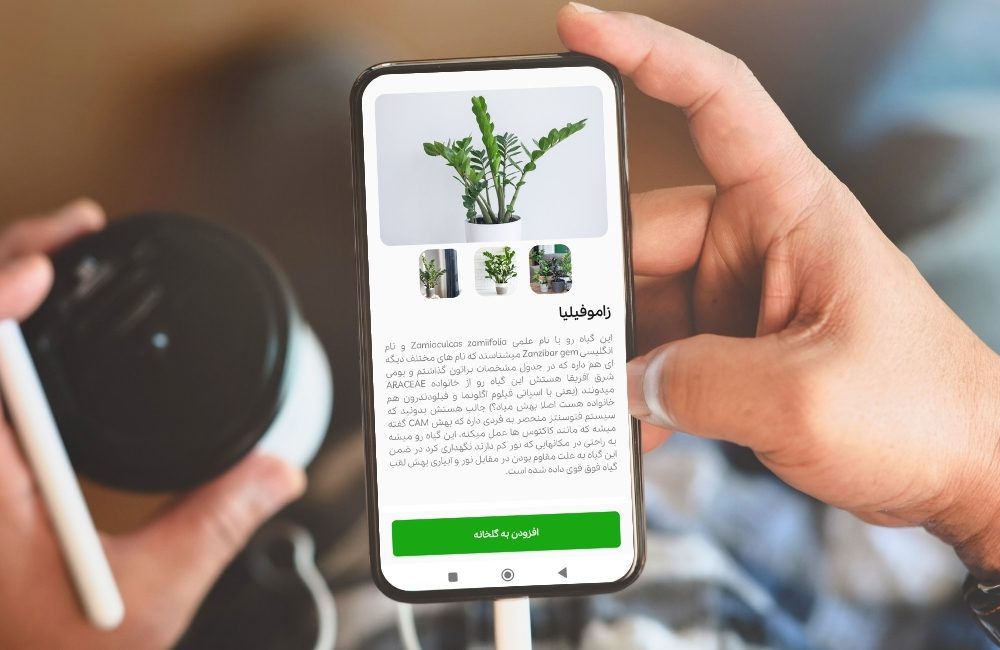 اپلیکیشن تشخیص گل و گیاه ایرانی
